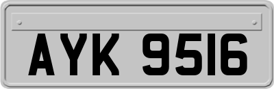 AYK9516