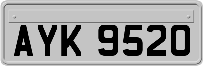 AYK9520