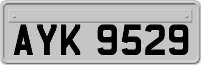 AYK9529