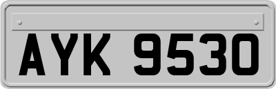 AYK9530