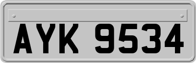 AYK9534