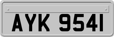 AYK9541