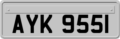 AYK9551