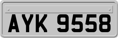 AYK9558
