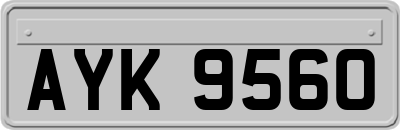 AYK9560