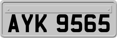 AYK9565