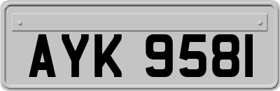 AYK9581