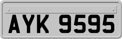 AYK9595