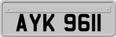 AYK9611