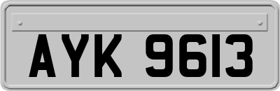 AYK9613