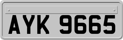 AYK9665