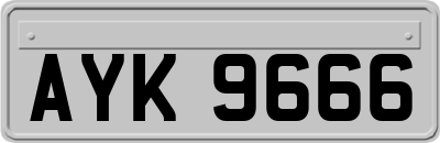 AYK9666