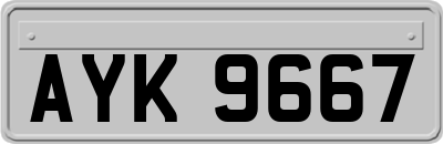 AYK9667