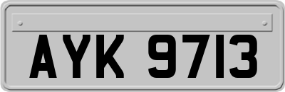 AYK9713