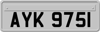 AYK9751
