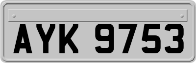 AYK9753