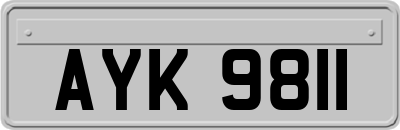 AYK9811