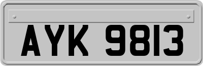 AYK9813