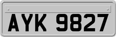 AYK9827