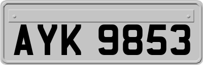 AYK9853