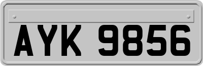 AYK9856