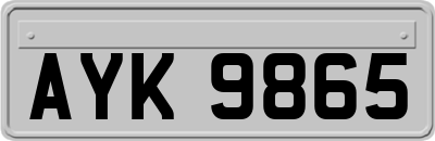 AYK9865
