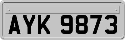 AYK9873