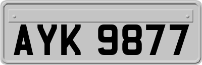 AYK9877