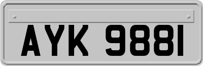 AYK9881