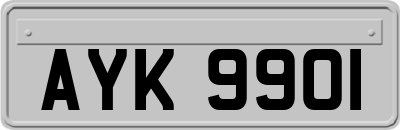 AYK9901