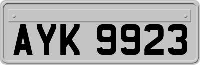 AYK9923