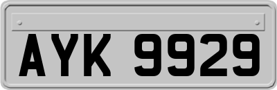AYK9929