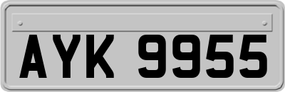 AYK9955