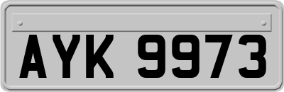 AYK9973