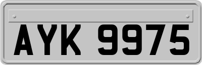 AYK9975