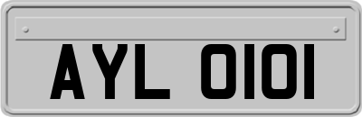 AYL0101