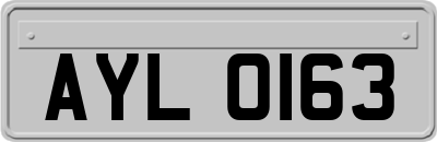 AYL0163