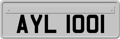 AYL1001
