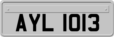 AYL1013