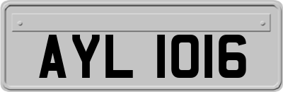 AYL1016
