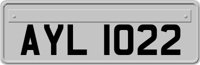 AYL1022