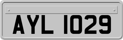 AYL1029