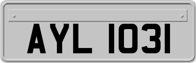 AYL1031
