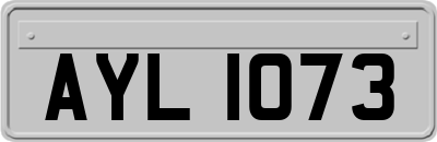AYL1073