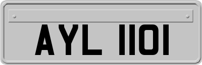 AYL1101