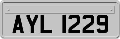 AYL1229