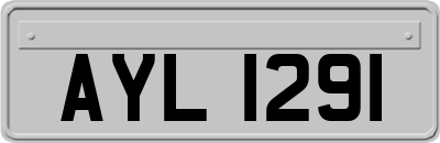 AYL1291