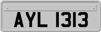 AYL1313