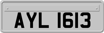 AYL1613
