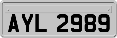 AYL2989